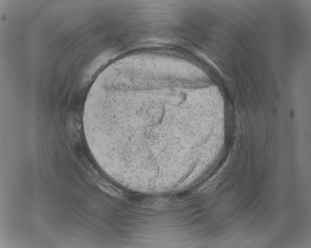 X0000068281355200605191843