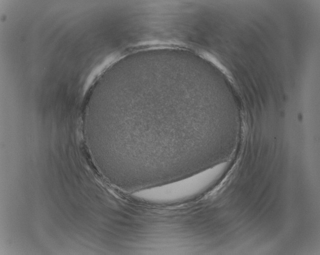 X0000068281357200605191843