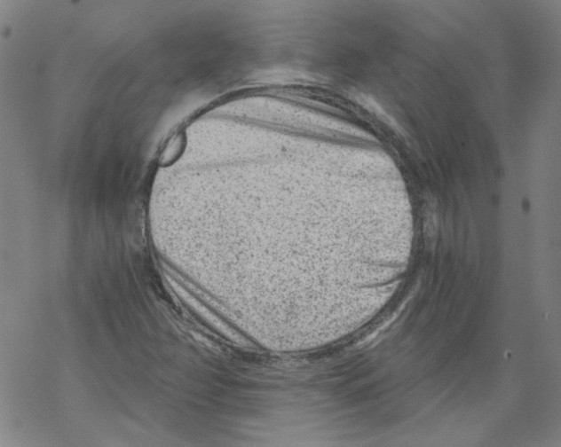 X0000068281358200605191843