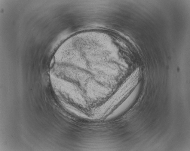 X0000068281363200605191843