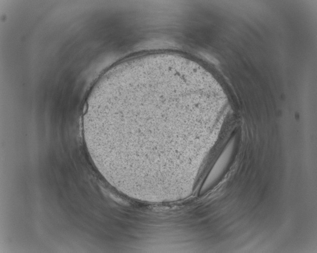 X0000068281366200605191843