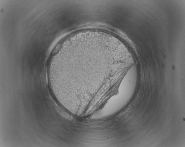 X0000068281368200605191843