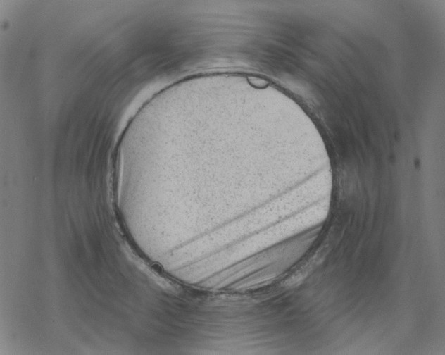 X0000068281374200605191843