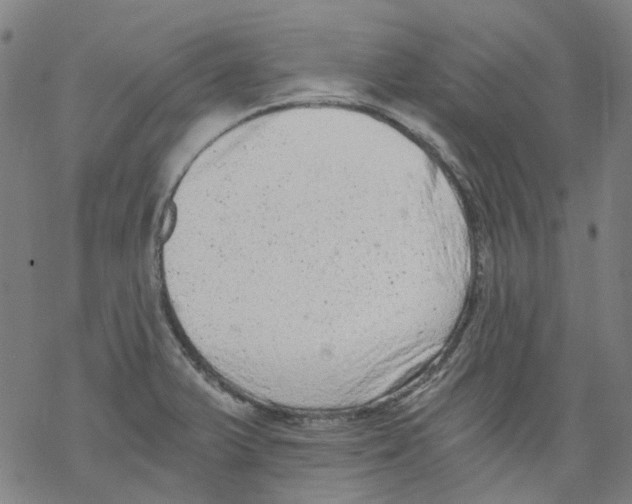 X0000068281375200605191843