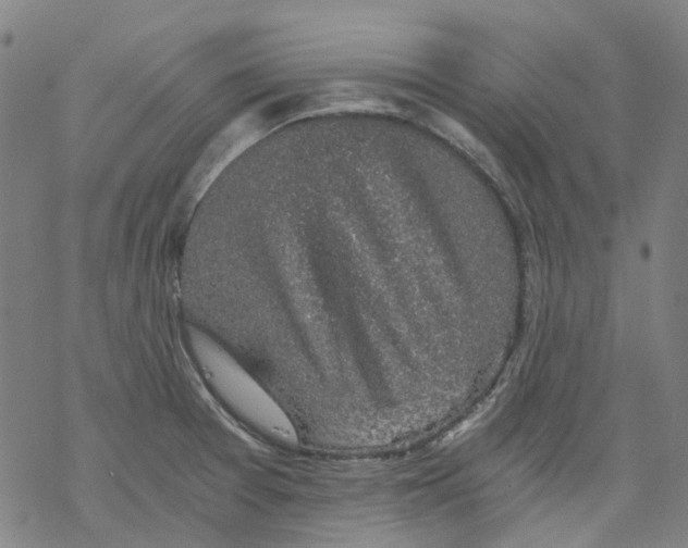 X0000068281377200605191843