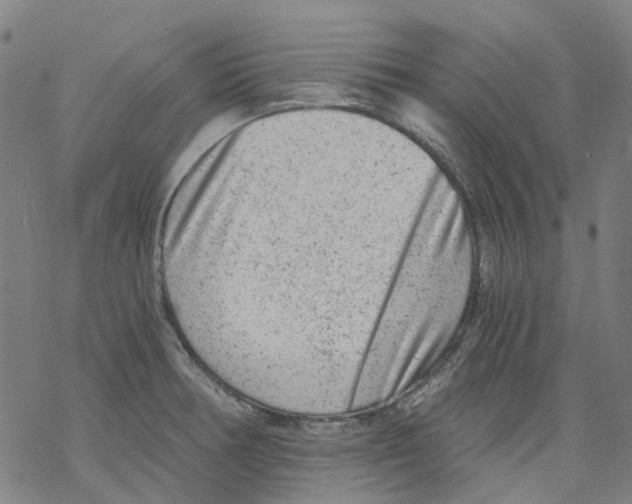 X0000068281378200605191842