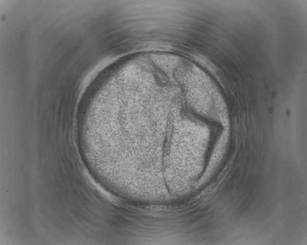 X0000068281379200605191842