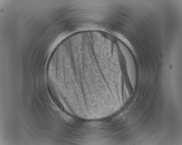 X0000068281380200605191842