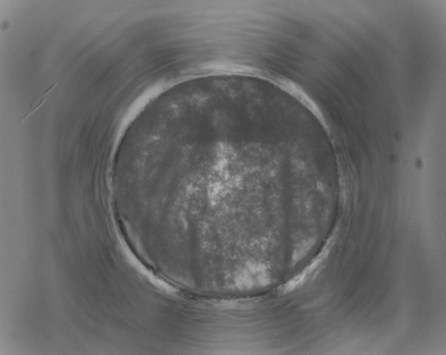 X0000068281381200605191842