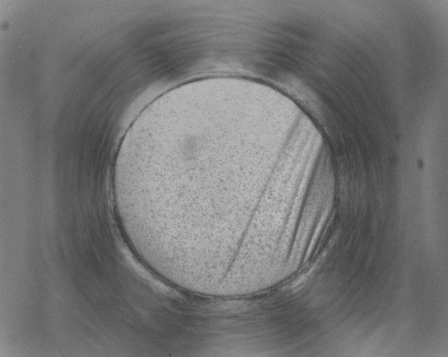 X0000068281382200605191842