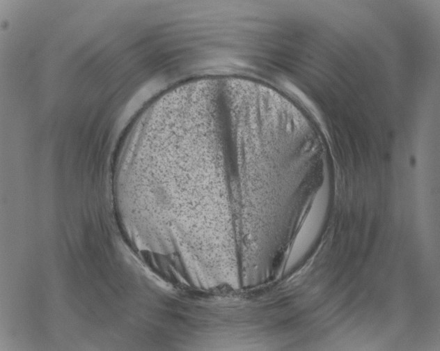 X0000068281384200605191842