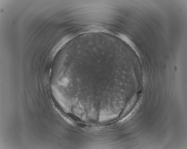 X0000068281385200605191842