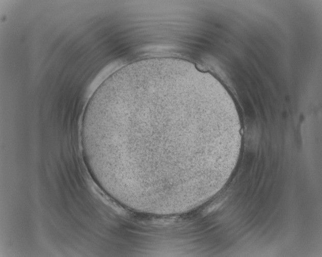 X0000068281386200605191842