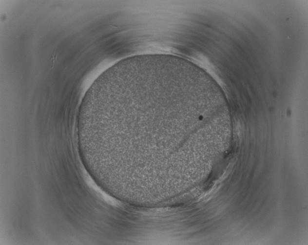 X0000068281387200605191842