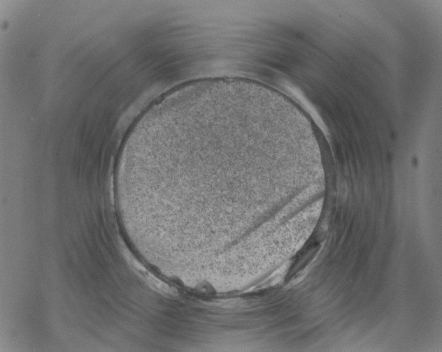 X0000068281388200605191842