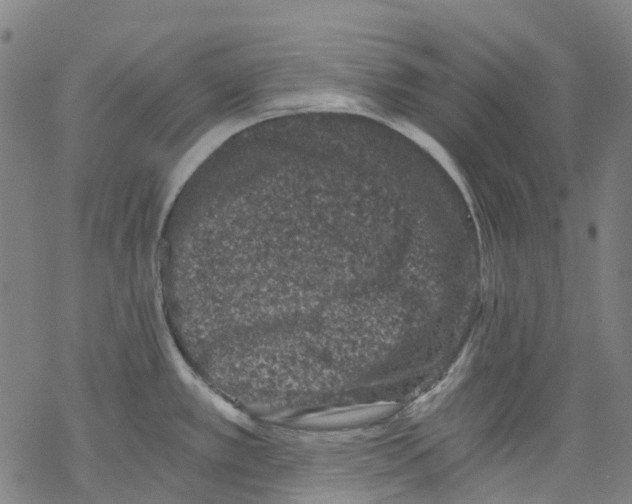 X0000068281389200605191842