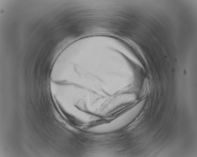 X0000068281390200605191842