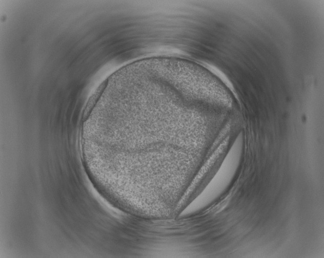 X0000068281391200605191842