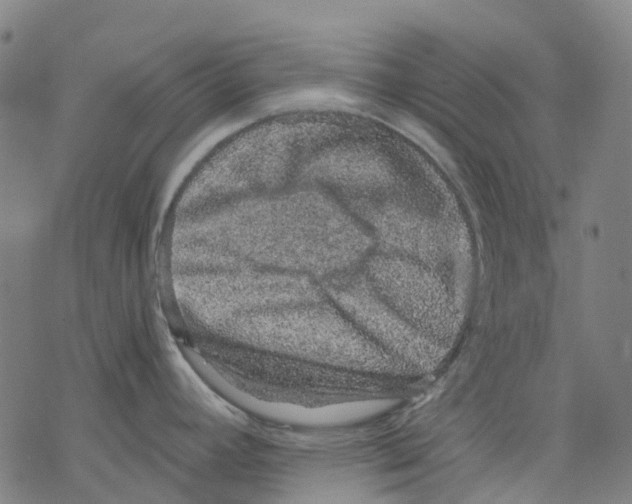 X0000068281392200605191842