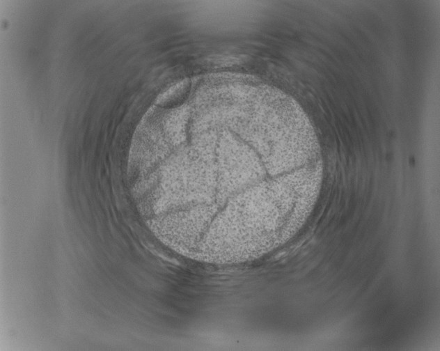 X0000068281393200605191841