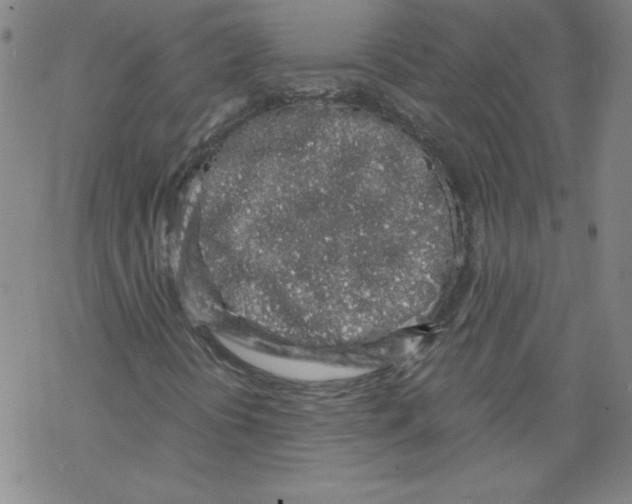 X0000068281394200605191842