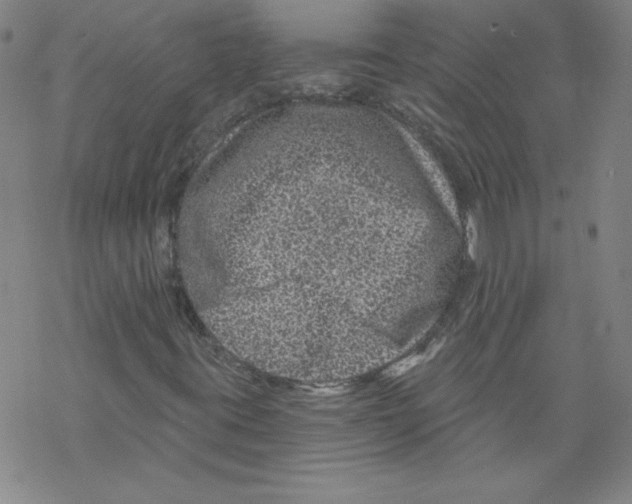 X0000068281395200605191842