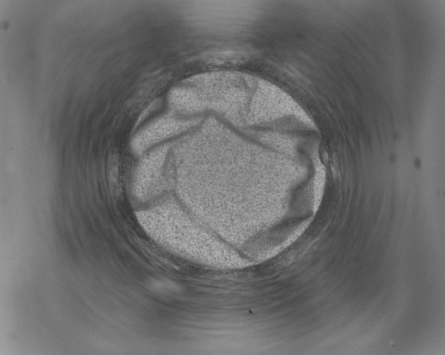 X0000068281396200605191842