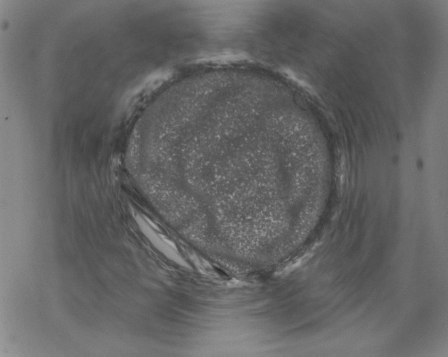 X0000068281398200605191842