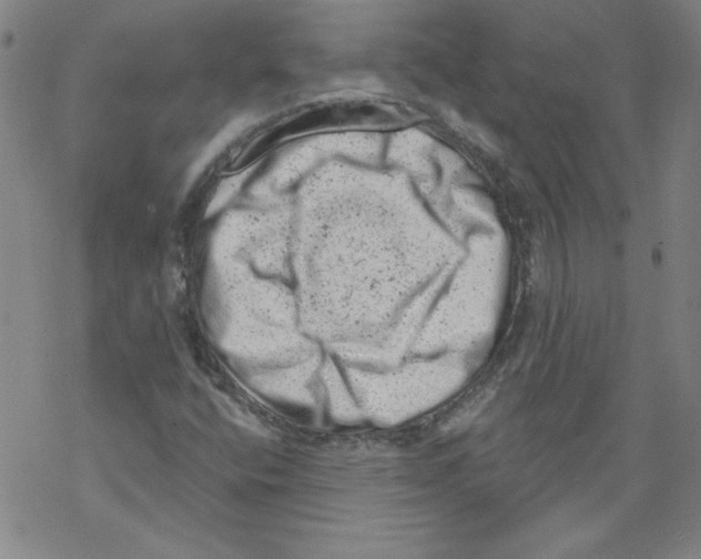 X0000068281400200605191842