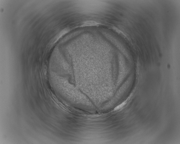 X0000068281401200605191842