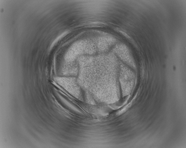 X0000068281402200605191842