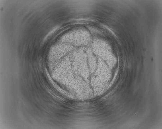 X0000068281403200605191842