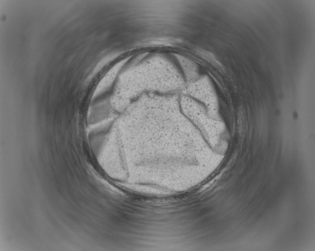 X0000068281404200605191842