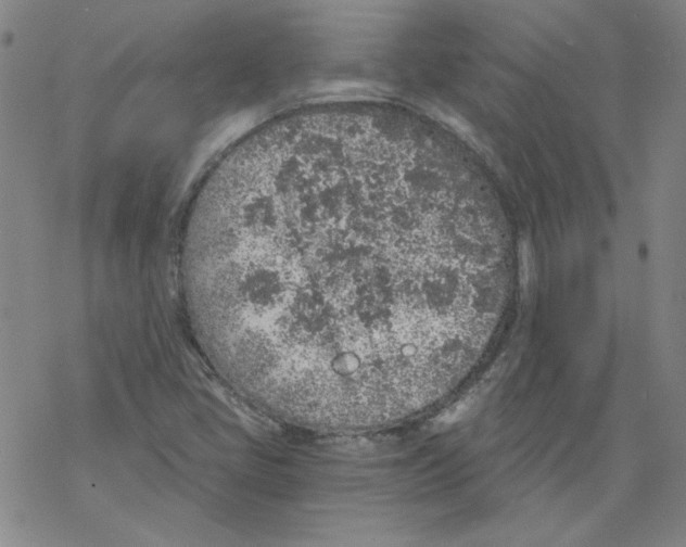 X0000068281405200605191842