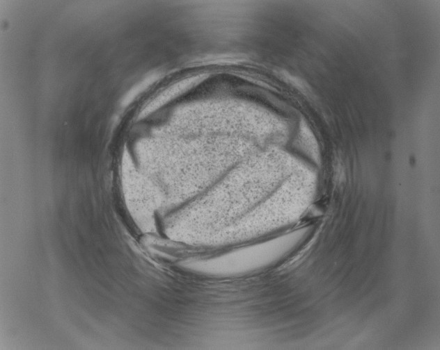 X0000068281406200605191842