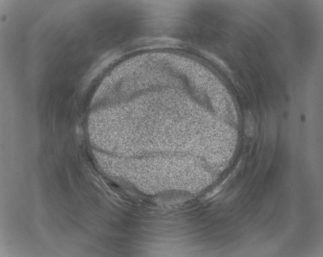 X0000068281407200605191842