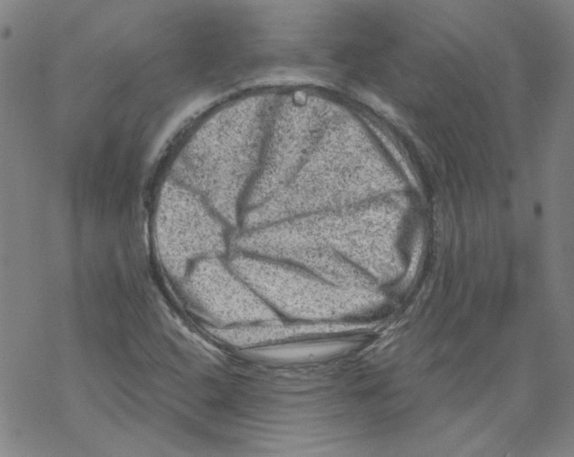 X0000068281408200605191842