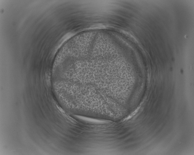 X0000068281409200605191842