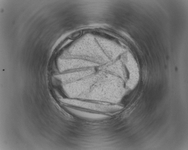 X0000068281412200605191842