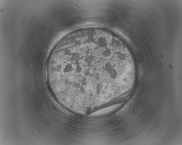 X0000068281413200605191842