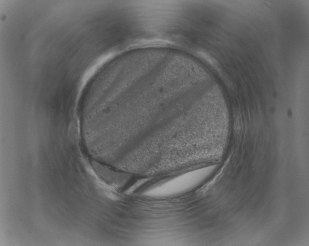 X0000068281414200605191842