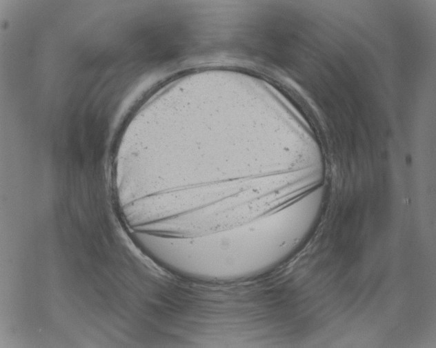 X0000068281416200605191842