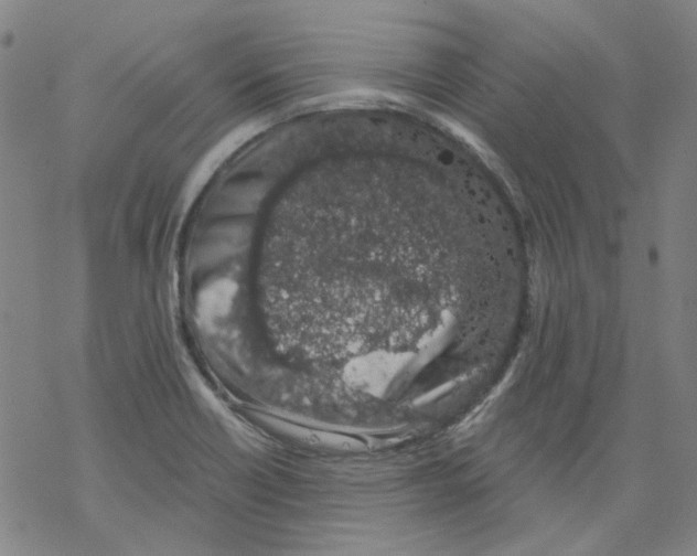 X0000068281418200605191842