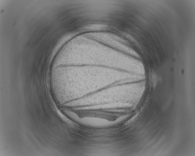 X0000068281421200605191842