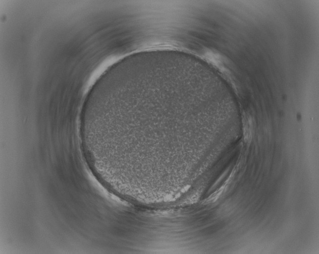 X0000068281422200605191842