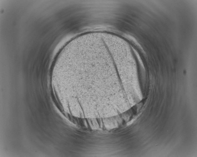 X0000068281424200605191842