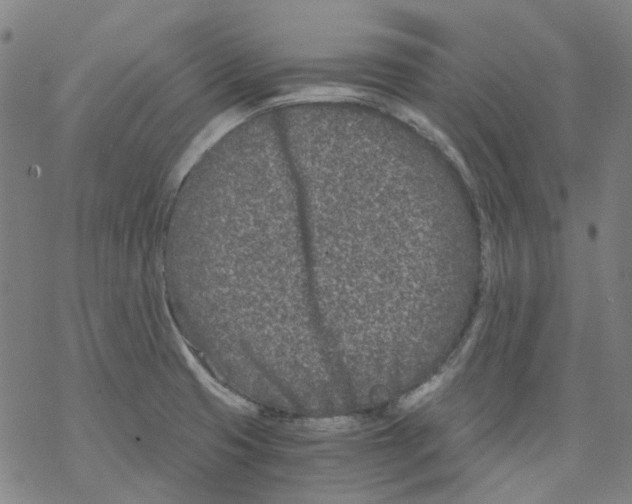 X0000068281425200605191842