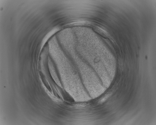 X0000068281426200605191842