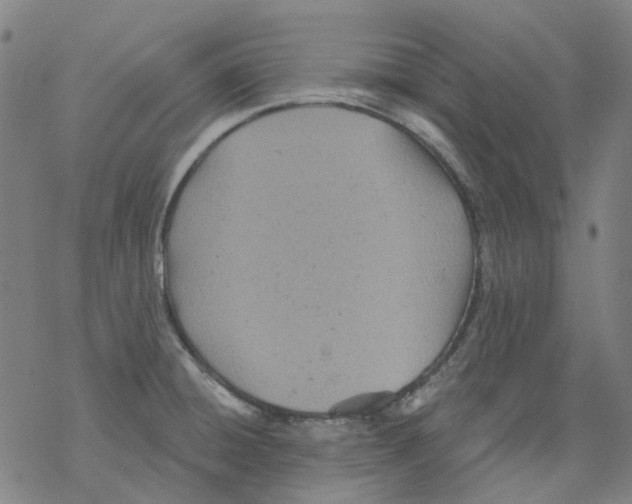 X0000068281428200605191842