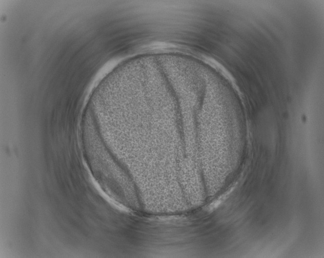 X0000068281429200605191842